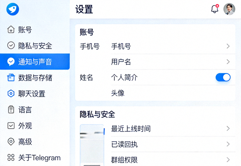 汉化后的Telegram设置界面全貌截图，显示中文菜单项